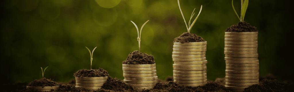 Maximising Your Investment with Professional Rental Property Management in Auckland