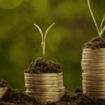 Maximising Your Investment with Professional Rental Property Management in Auckland